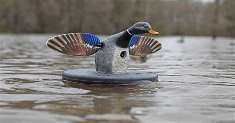 floating spinning wing duck decoy.